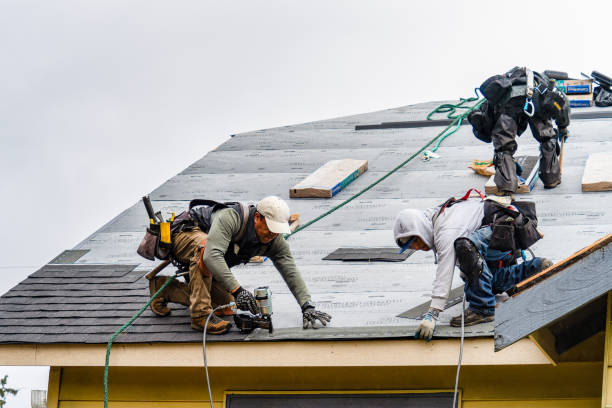 Professional Roofing technician working in Solon, IA